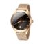 Smartwatch FW42 Gold