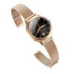 Smartwatch FW42 Gold