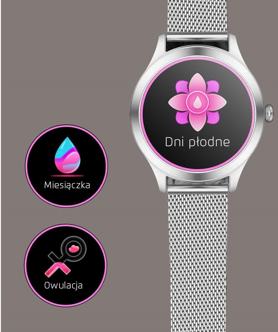 Smartwatch FW42 Silver