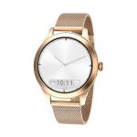 Smartwatch FW44 Gold 2